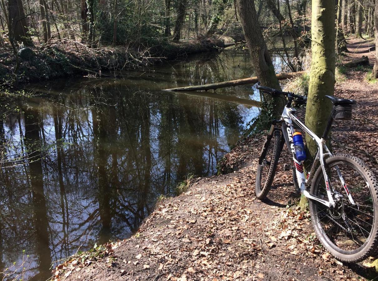 Vakantiewoning De Kei. Modern Achterhoeks Genot Lichtenvoorde Eksteriør billede